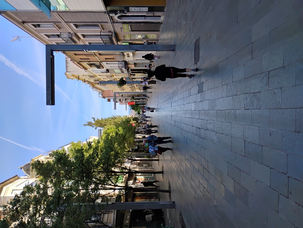 IMG_20260418_095338139.jpg